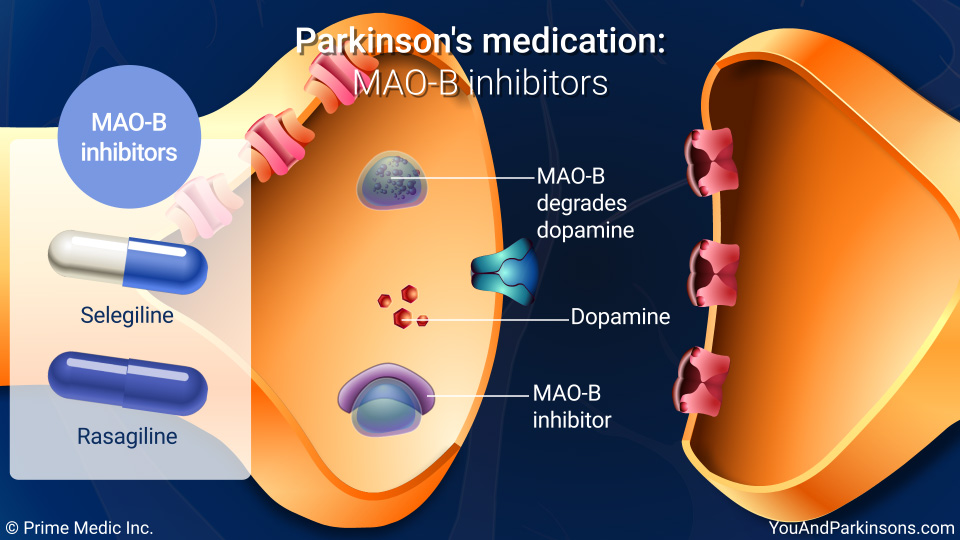 Parkinson's medication: MAO-B inhibitors