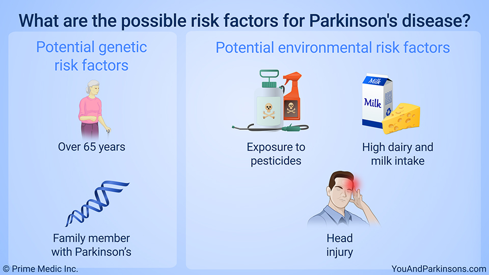 What are the possible risk factors for Parkinson's disease?
