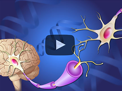 Learn about a variety of topics on Parkinson’s disease through short animations.